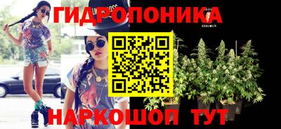 spice Гусев